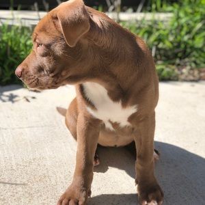 Meet your Posher, Mimichael